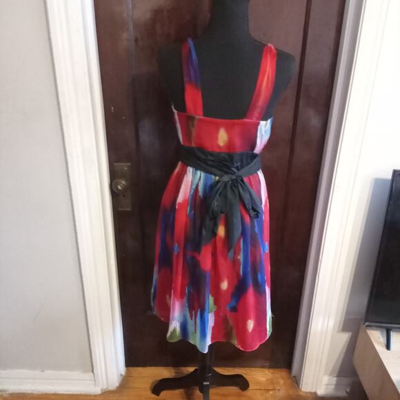 The Limited Empire Waist Dress Watercolor Tie Dye Red Poppy Floral Chiffon Sz 4 - Picture 6 of 11